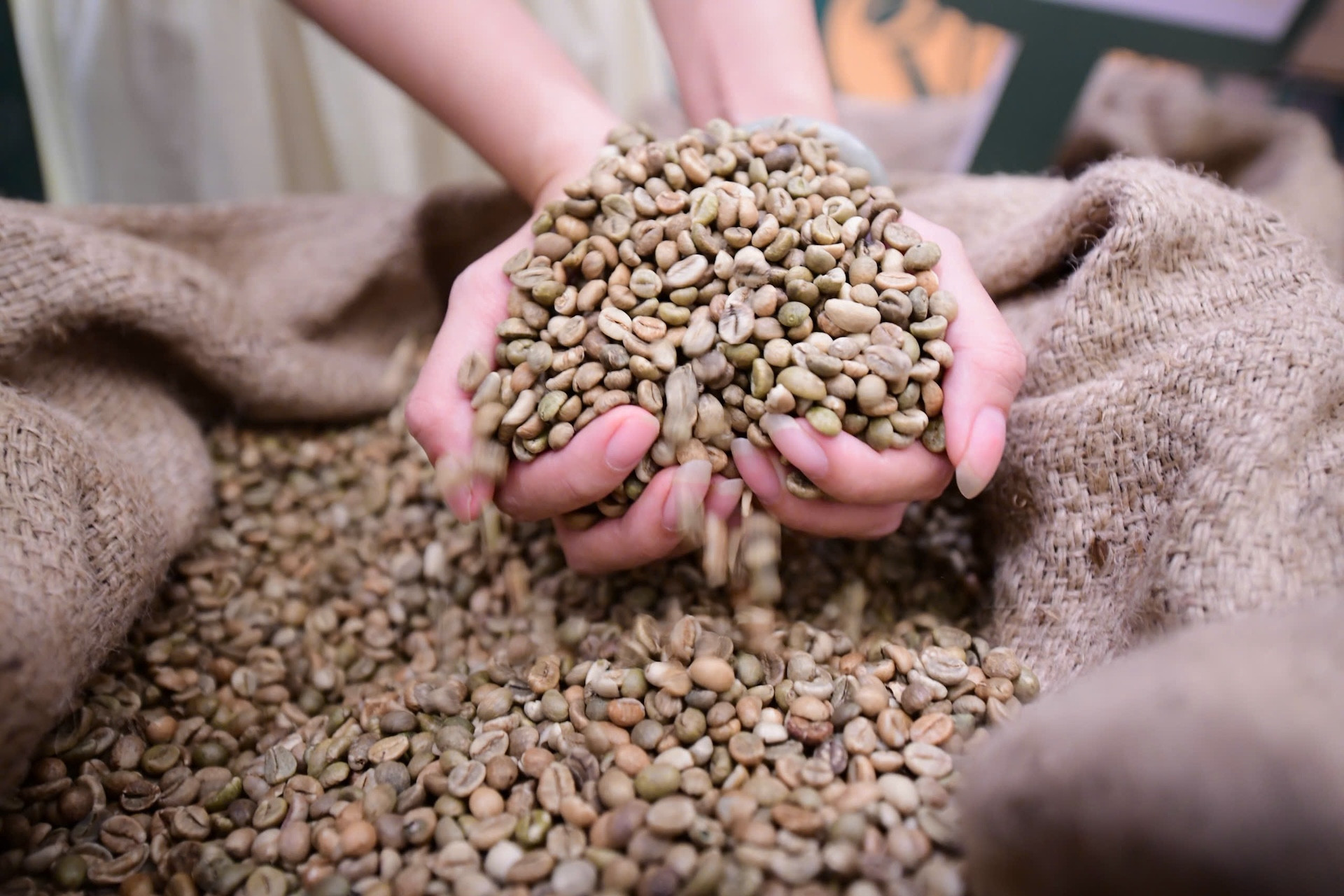 Cứ 5 hạt Robusta có 2 hạt từ Việt Nam, cà phê Việt vẫn loay hoay xây thương hiệu