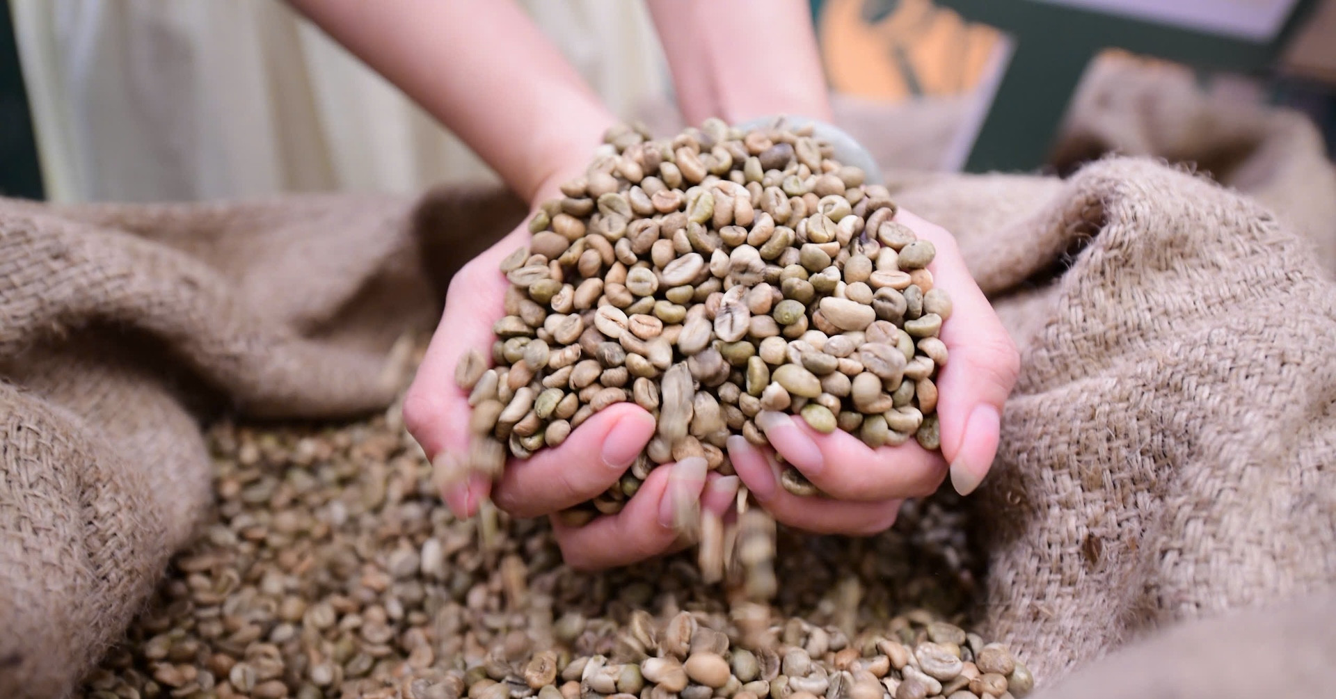 Cứ 5 hạt Robusta có 2 hạt từ Việt Nam, cà phê Việt vẫn loay hoay xây thương hiệu