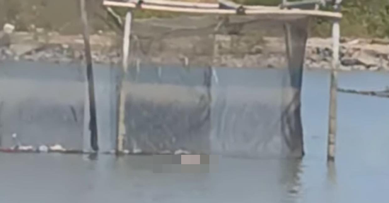 Bản tin cuối ngày 1/2:Phát hiện thi thể nam giới nổi trên rạch có chùm chìa khóa