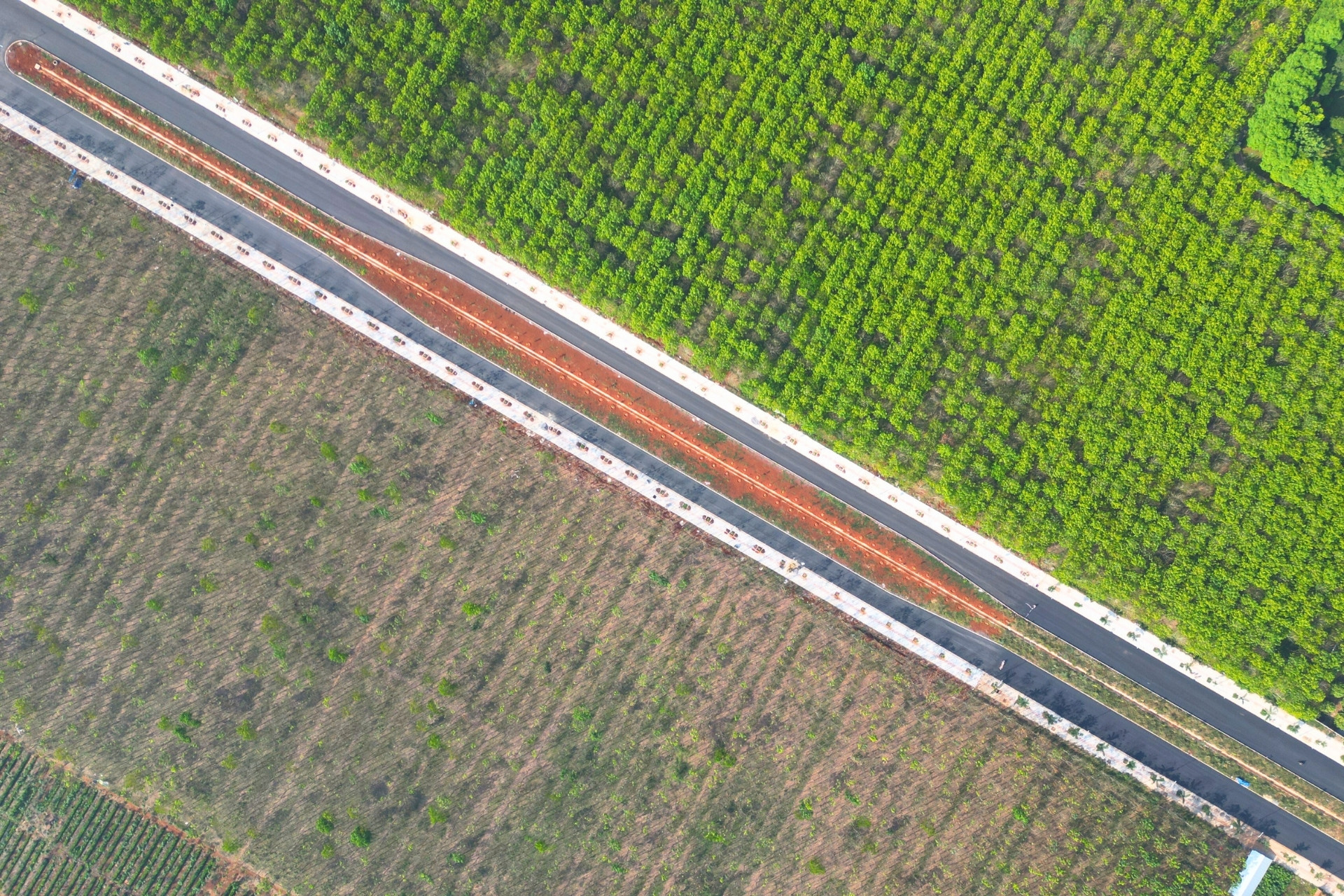 Lộ diện đường Vành đai 1 ở Đồng Nai xuyên rừng cao su, sắp thông xe kỹ thuật