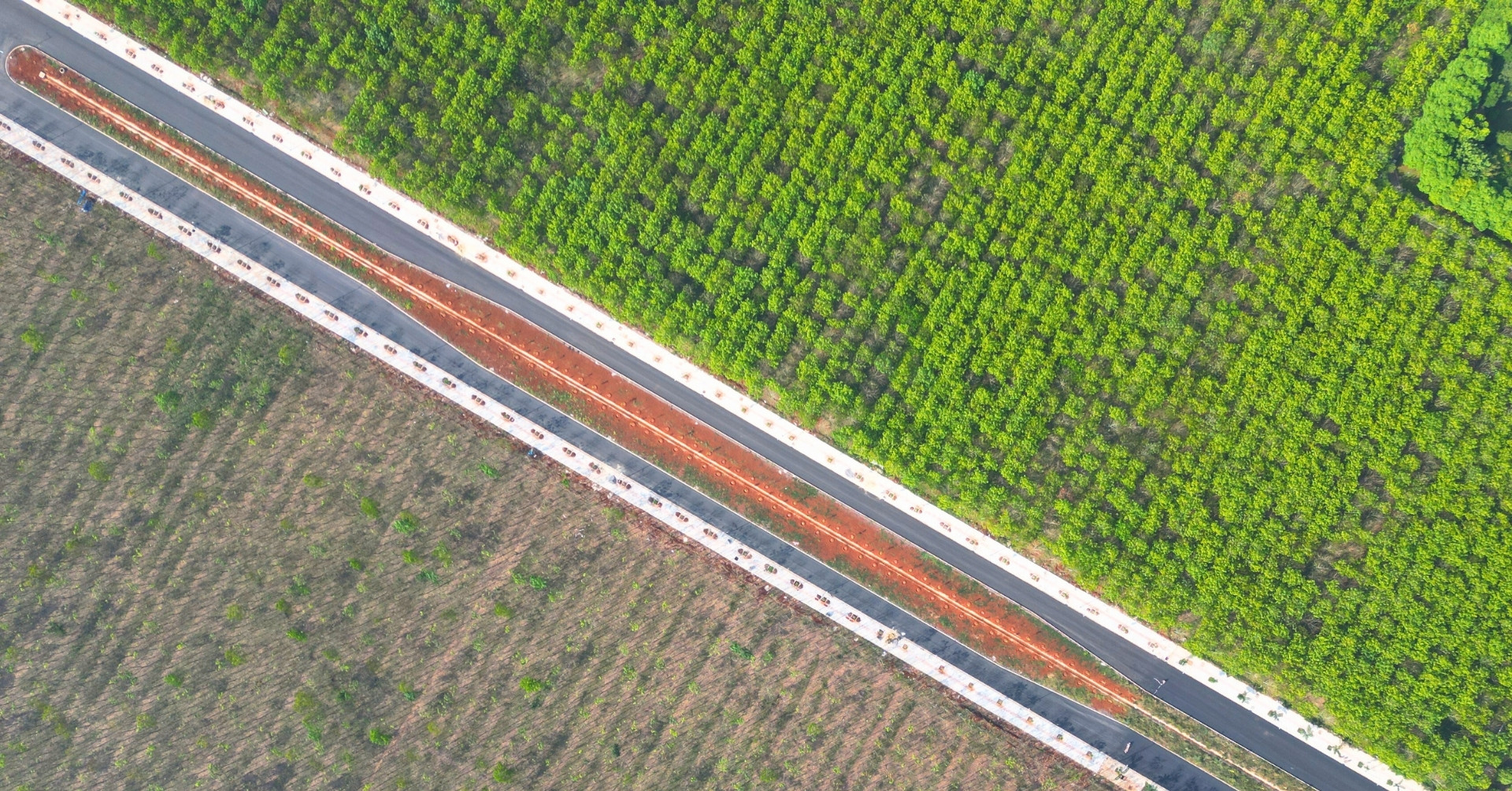 Lộ diện đường Vành đai 1 ở Đồng Nai xuyên rừng cao su, sắp thông xe kỹ thuật