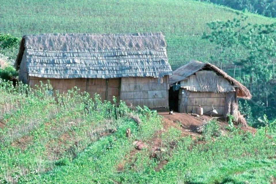 Nhớ đêm giao thừa đầu tiên ở Tây Nguyên: hàng xóm bồng bế nhau đi tá túc