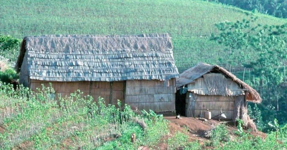 Nhớ đêm giao thừa đầu tiên ở Tây Nguyên: hàng xóm bồng bế nhau đi tá túc