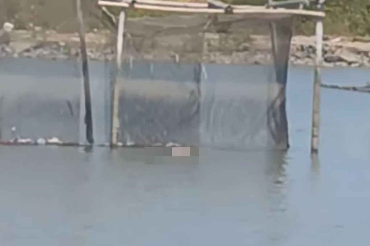 Phát hiện thi thể nam giới nổi trên rạch ở TPHCM, trong túi quần có chùm chìa khóa xe máy.png