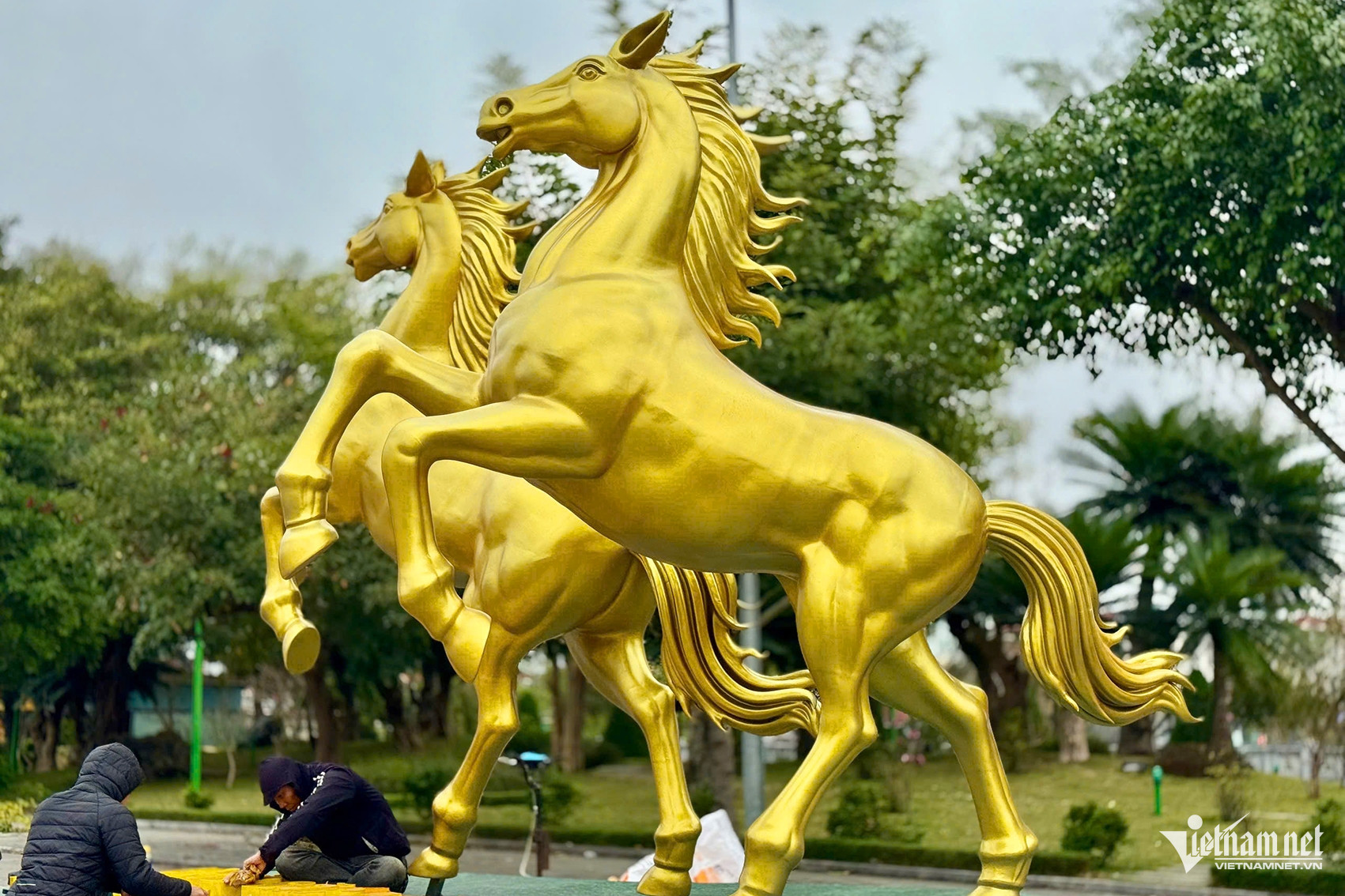 W-3e991671 707f 403e b159 ed5e5b478ef8.jpeg