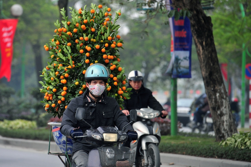 Dự báo thời tiết 11/2/2026: Hà Nội sáng mưa nhỏ rải rác, nhiệt độ cao nhất 22 độ