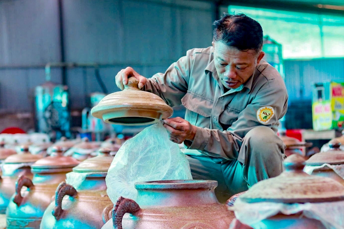 Anh nông dân Hà Tĩnh làm giàu nhờ mô hình 'dưới trồng cây, trên điện mặt trời'