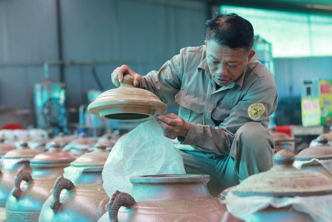 Anh nông dân Hà Tĩnh làm giàu nhờ mô hình 'dưới trồng cây, trên điện mặt trời'