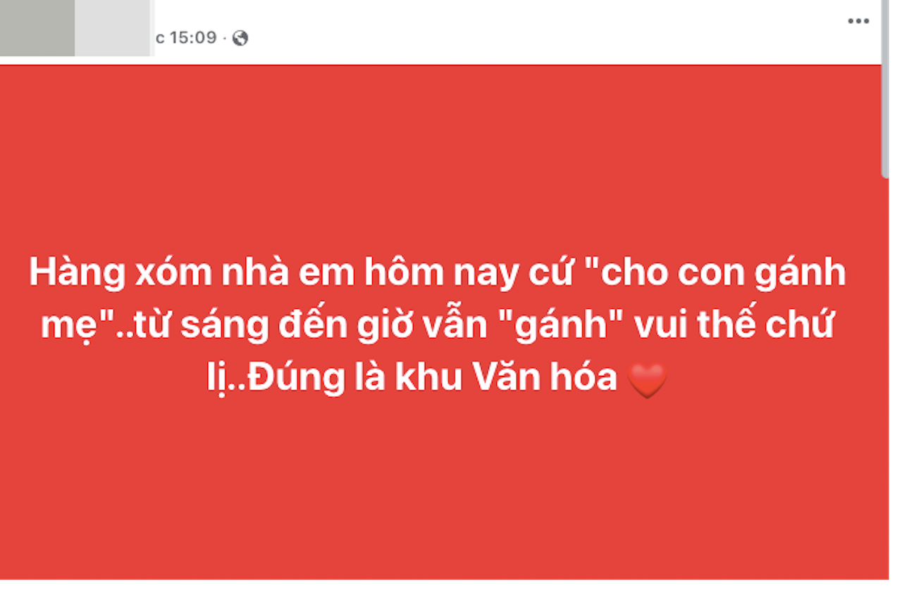 gánh mẹ.png