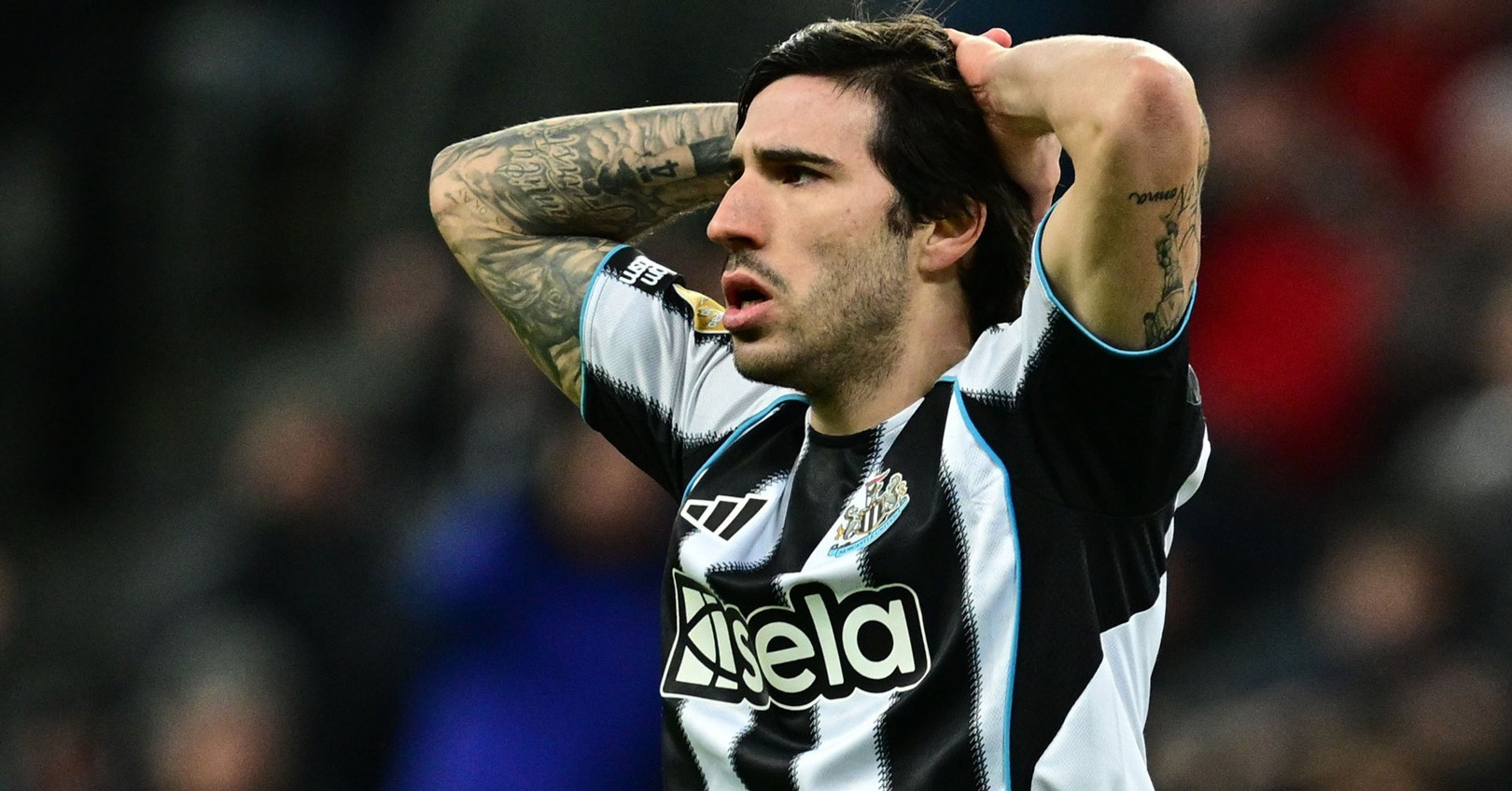 MU chọn Sandro Tonali là người kế thừa Casemiro