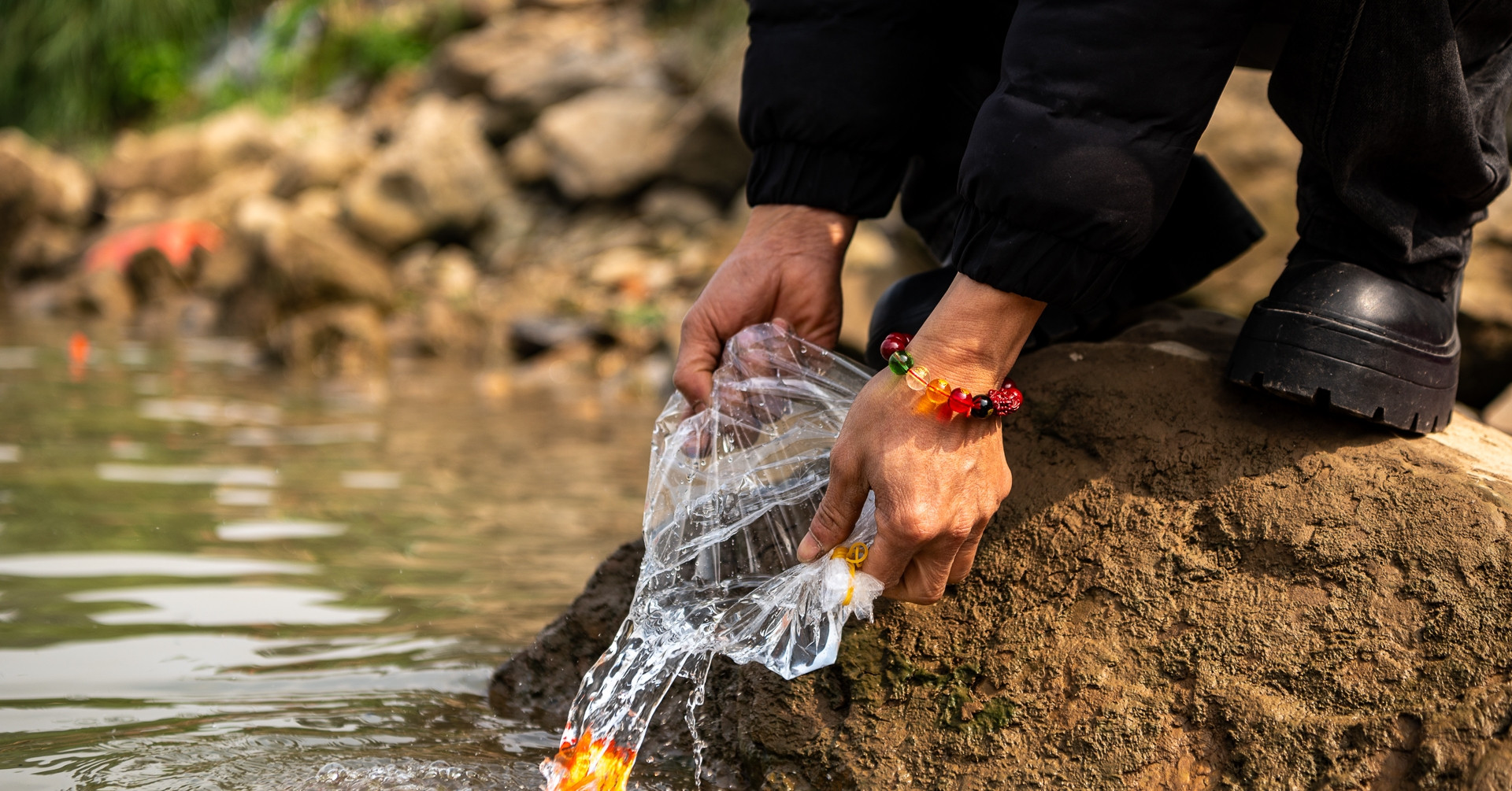 Người Hà Nội chi tiền triệu phóng sinh cá tiễn ông Công, ông Táo về trời