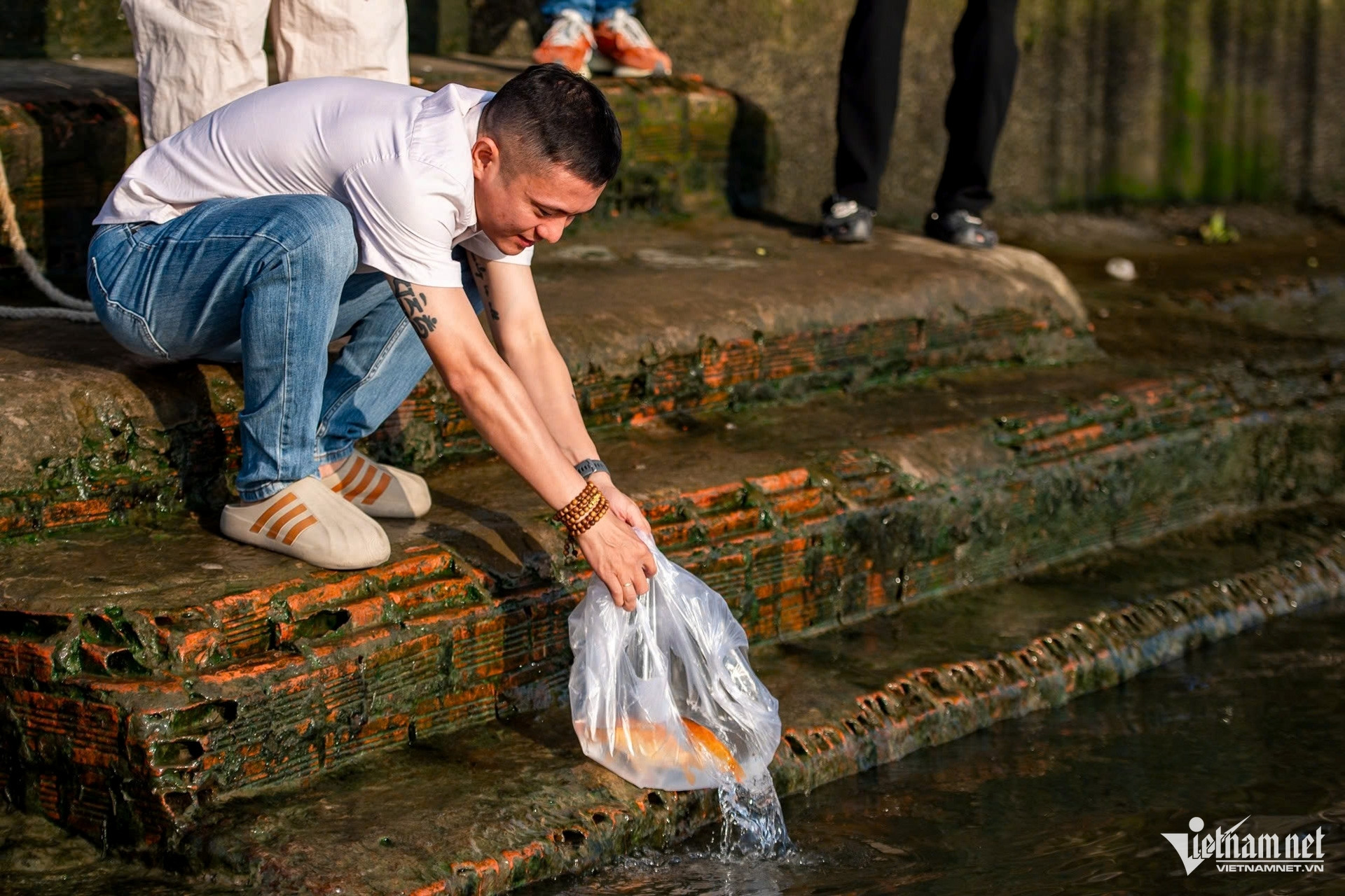 ong cong ong tao tuan hung 4 715.jpg