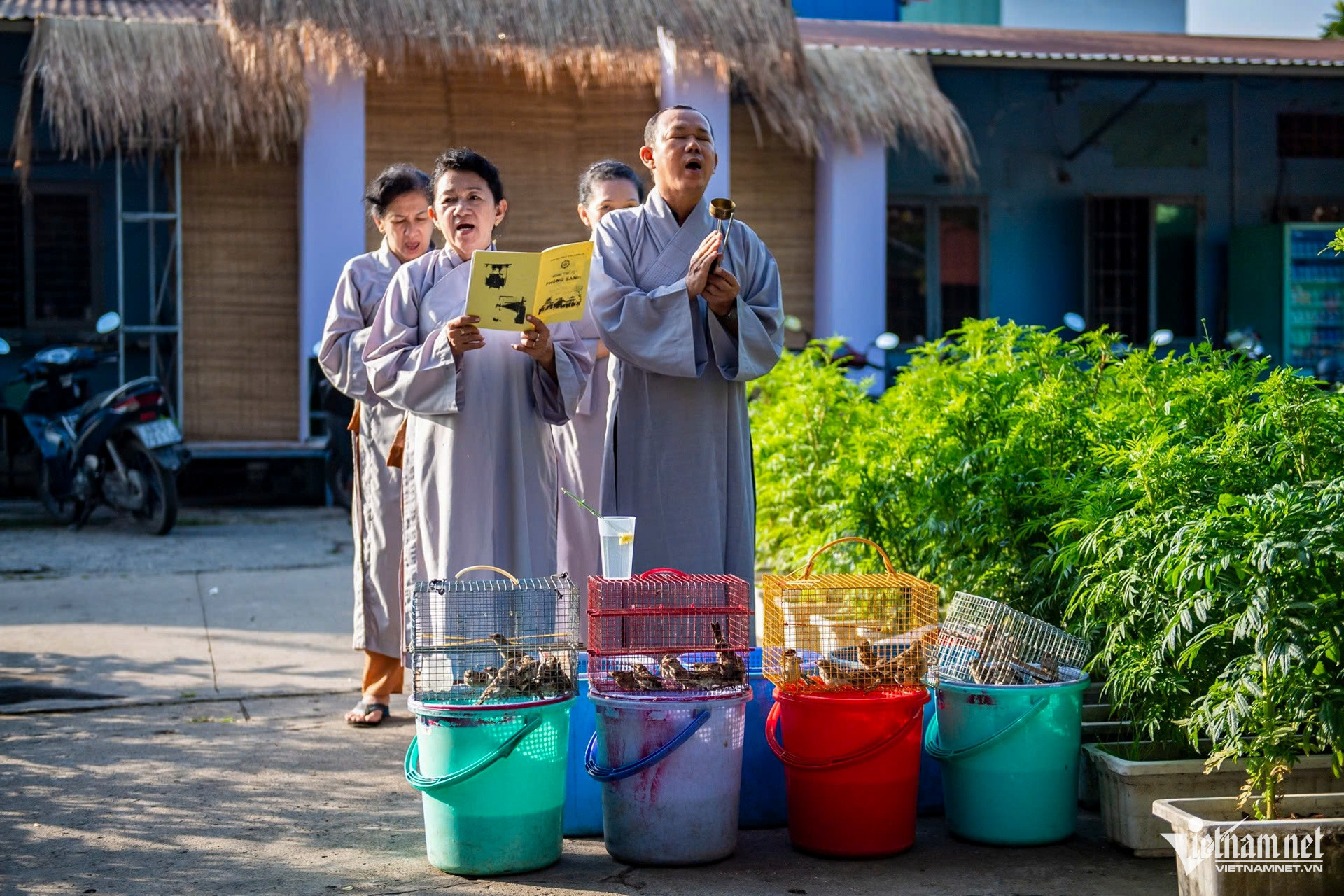 W-ông công ông táo   Tuấn Hùng 9.jpg