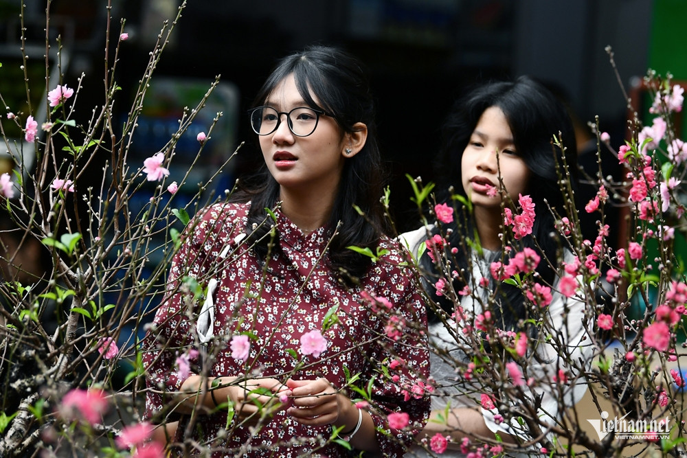 W-tet nguyen dan 2024 HHa 3.jpg