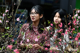 W-tet nguyen dan 2024 HHa 3.jpg