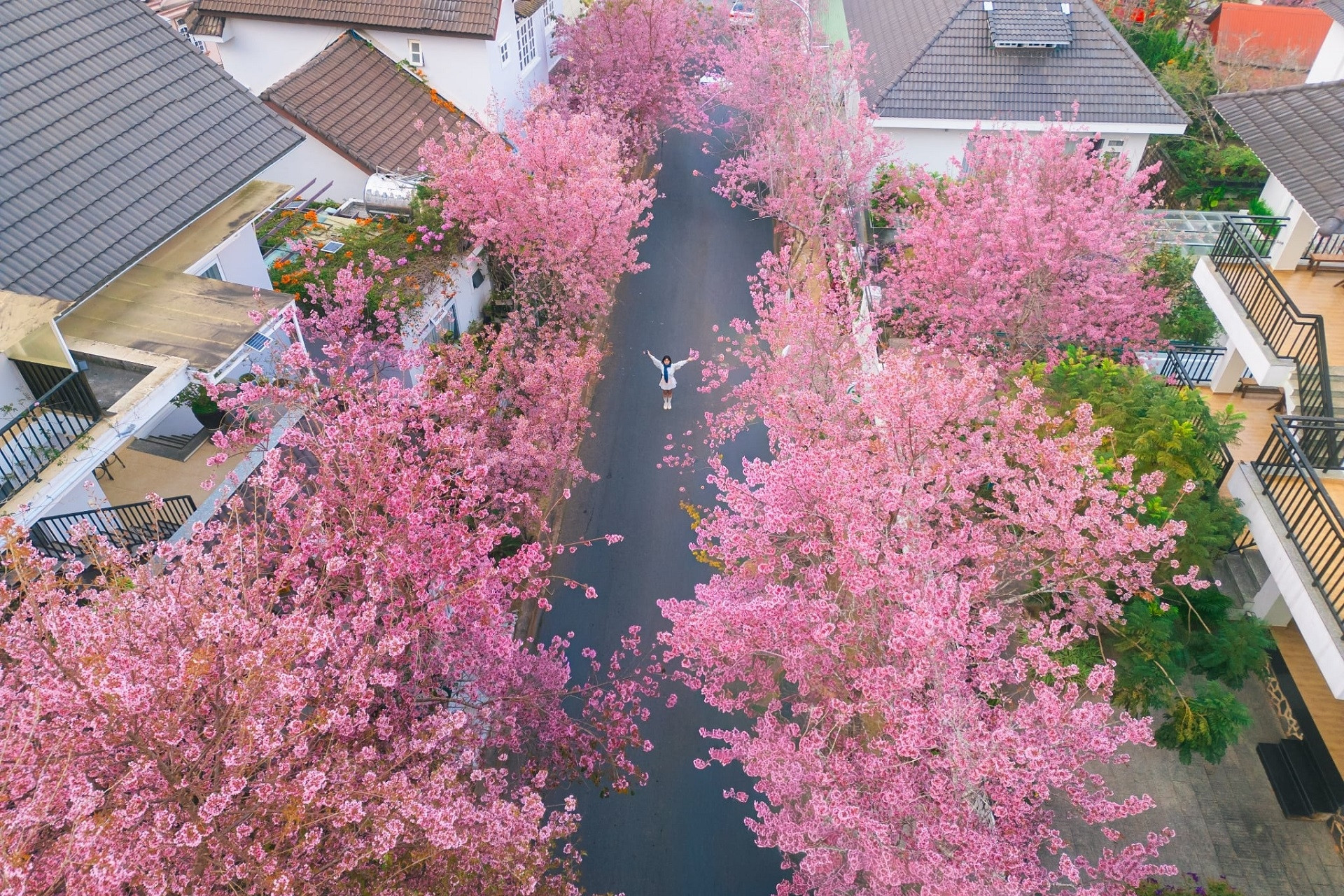 4 địa điểm du xuân 'vui quên lối về' ở miền Trung dịp tết Bính Ngọ 2026