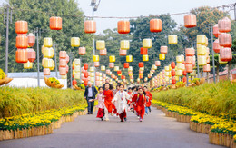 ảnh số 6 trong bài.jpg