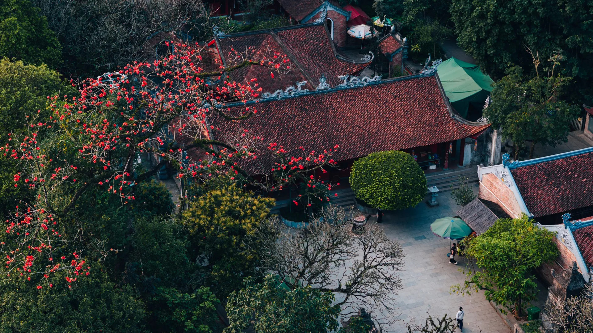 den hung 1743829631.webp