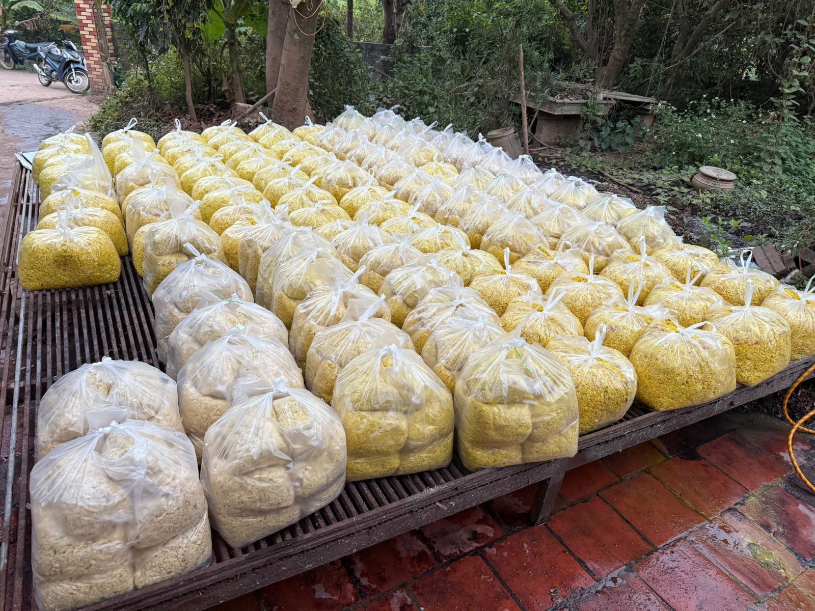 Riềng xay thành phẩm được trộn chất tẩy đường và chất Vàng O bị thu giữ.jpg