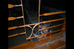 Screenshot 2026 02 11 085507.png