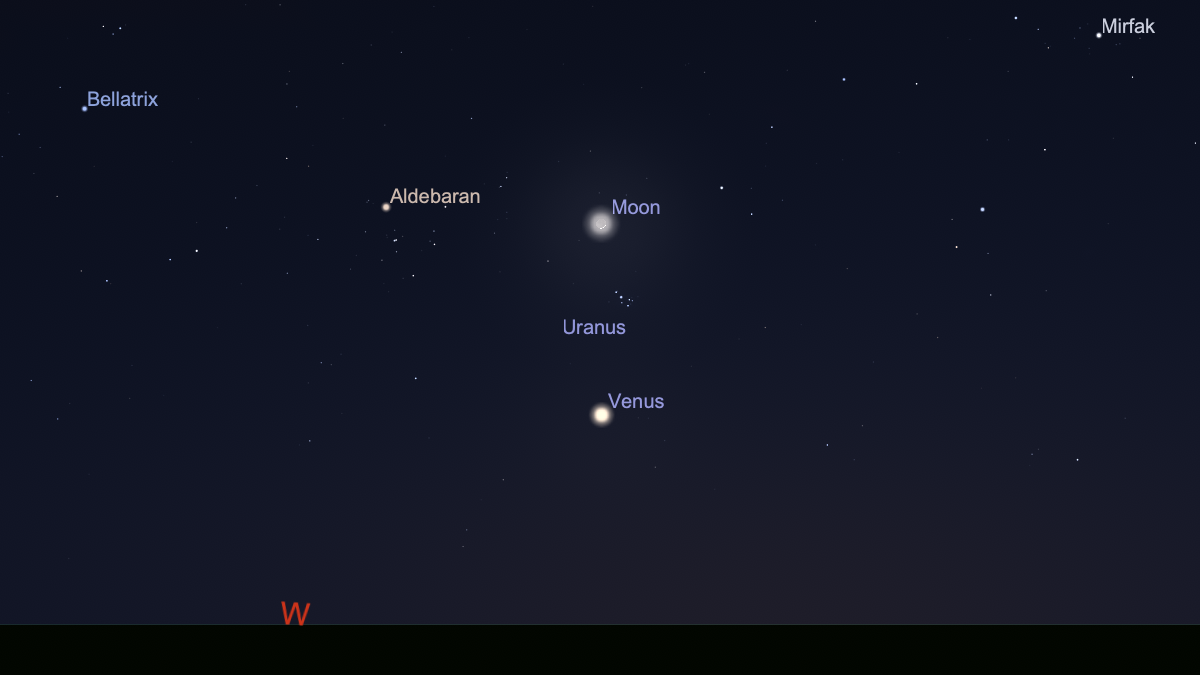 siêu trăng 2026 6.png