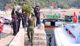 W-Cành đào, chậu quất vượt sóng ra khơi, mang Tết về bên đảo.jpg