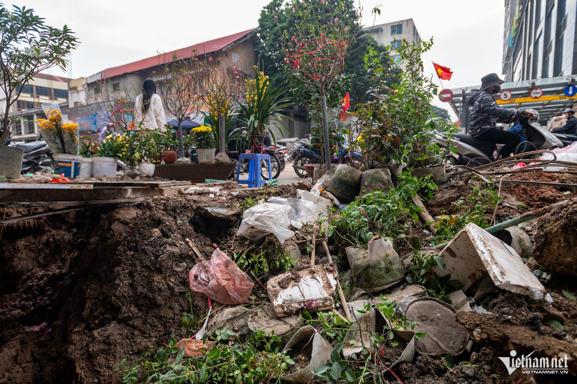 W-Nguyễn_Tuân_bụi_Tắc_Tết 9384.jpg