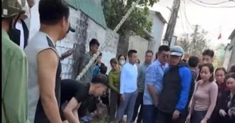 3 thanh niên bị điện giật khi dựng cây nêu đón Tết ở Nghệ An