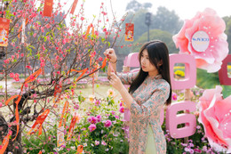 ảnh số 10 trong bài.jpg