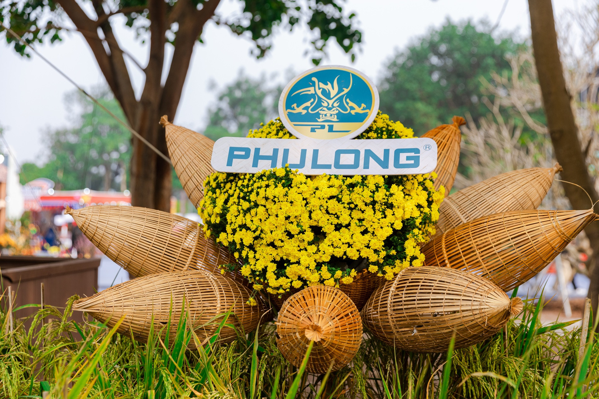 ảnh số 11 trong bài.jpg