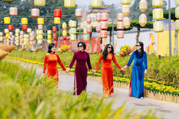 ảnh số 2 trong bài.jpg