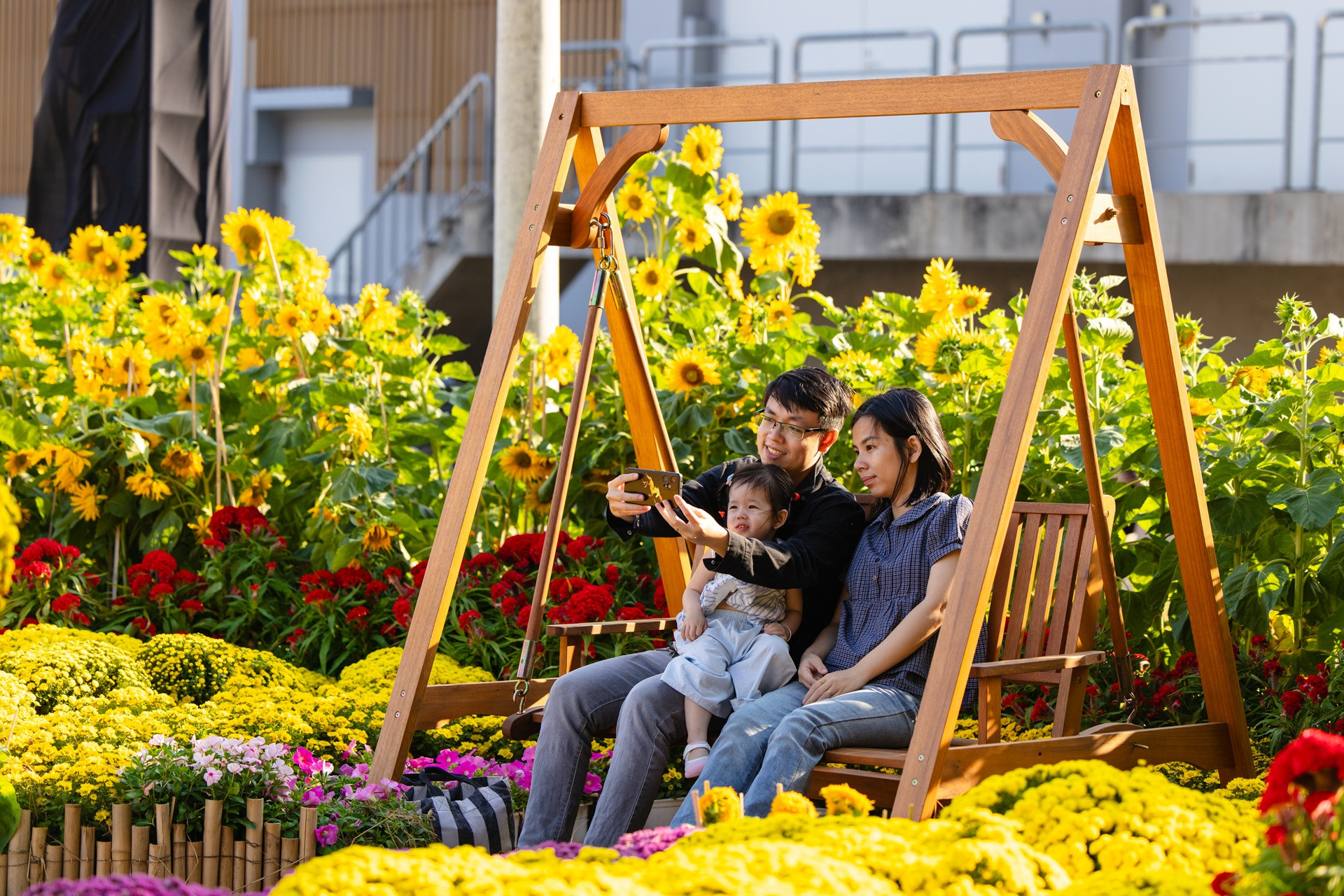 HÌNH 5 trong bài.jpg