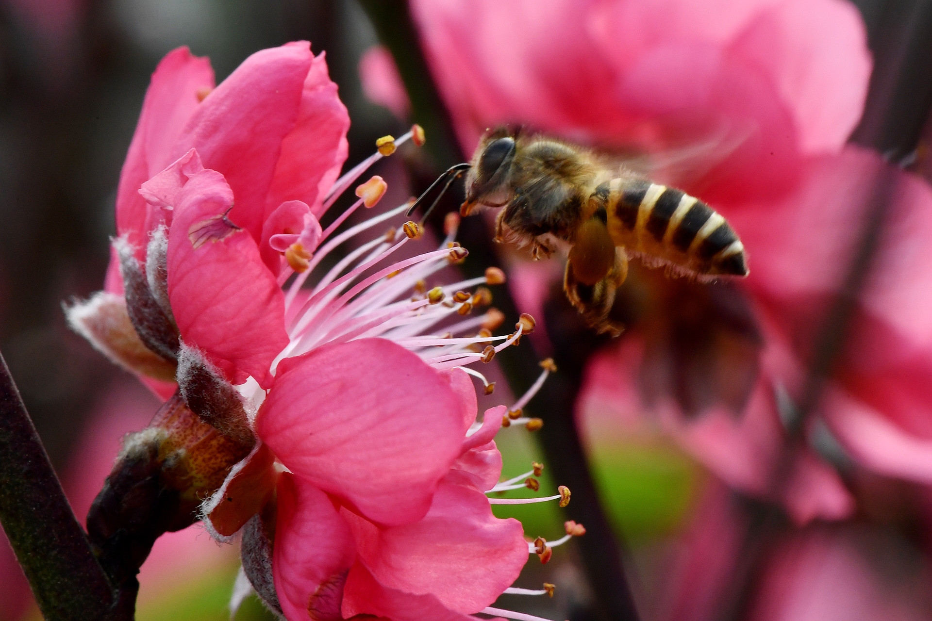 Những điều kiêng kị khi trang trí nhà cửa đón Tết để không ‘đẩy’ vận xấu vào nhà