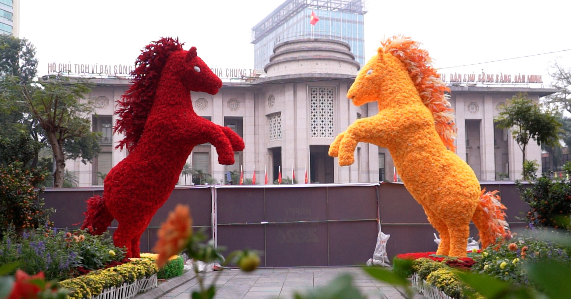 &amp;apos;Song Mã kết hoa&amp;apos; khổng lồ chào xuân Bính Ngọ ở hồ Hoàn Kiếm