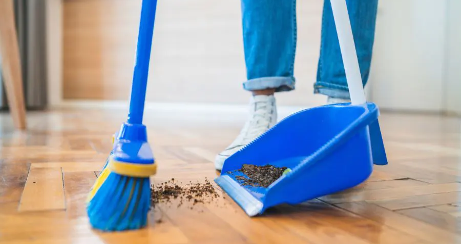 Vì sao kiêng quét nhà, đổ rác ngày đầu năm mới?