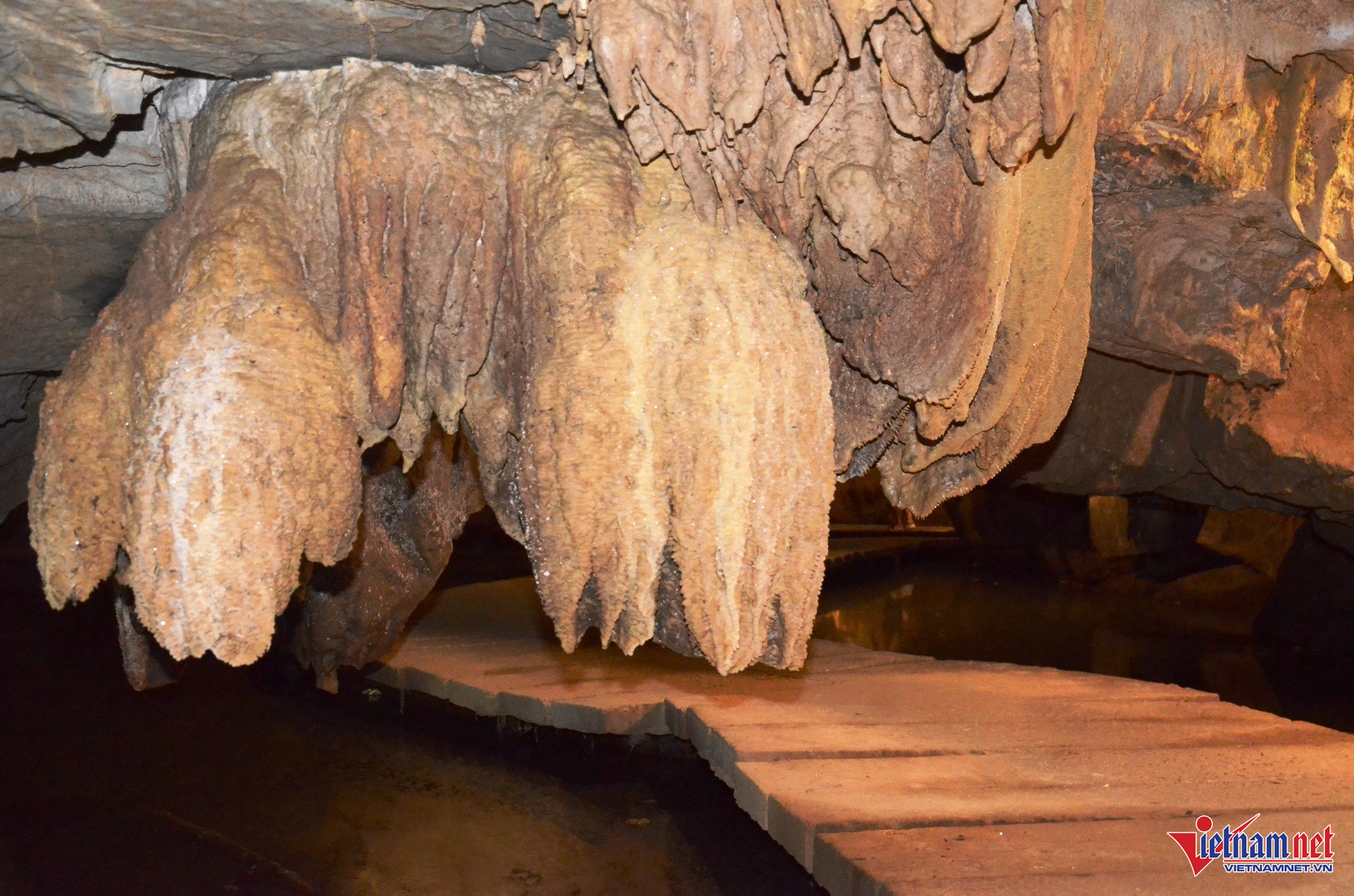 W-Tiên Cá 11.JPG.jpg