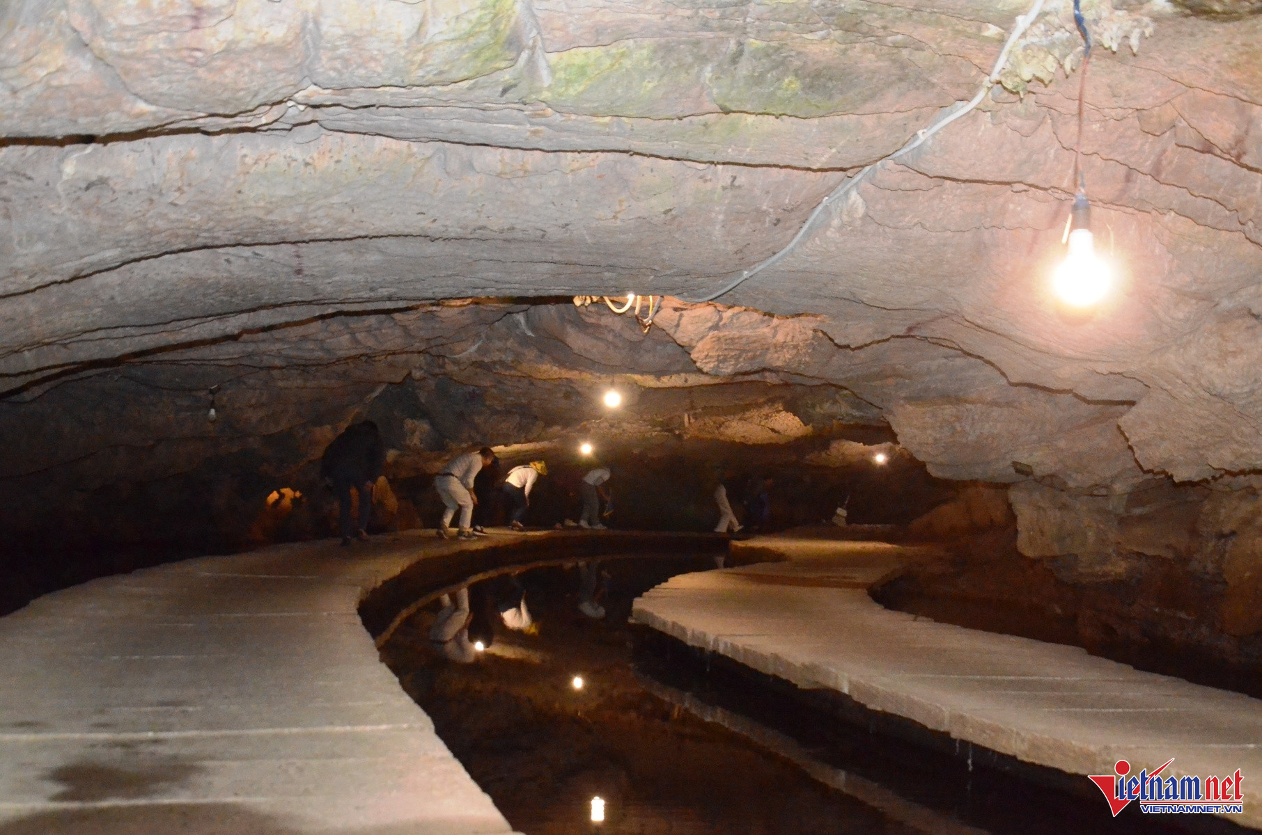 W-Tiên Cá 13.JPG.jpg