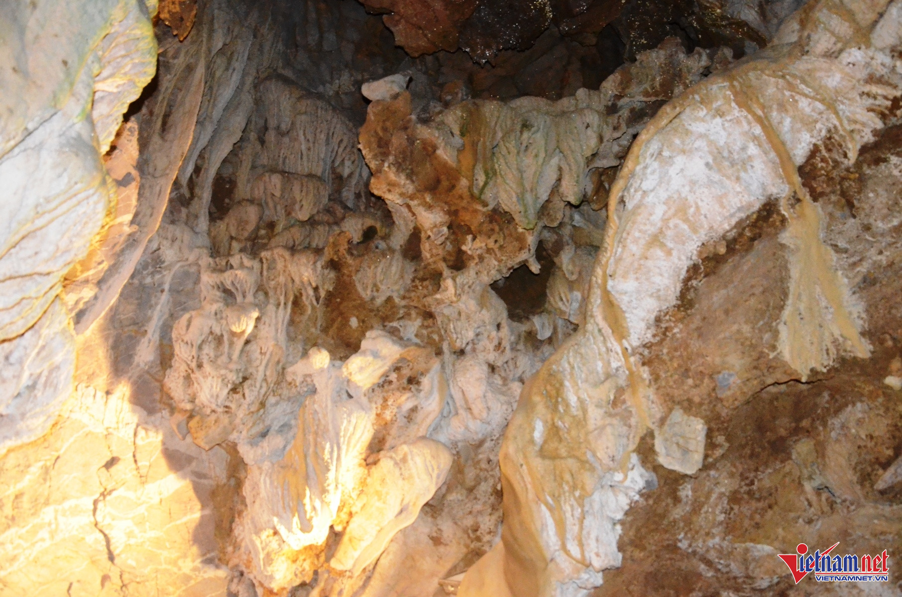 W-Tiên Cá 14.JPG.jpg