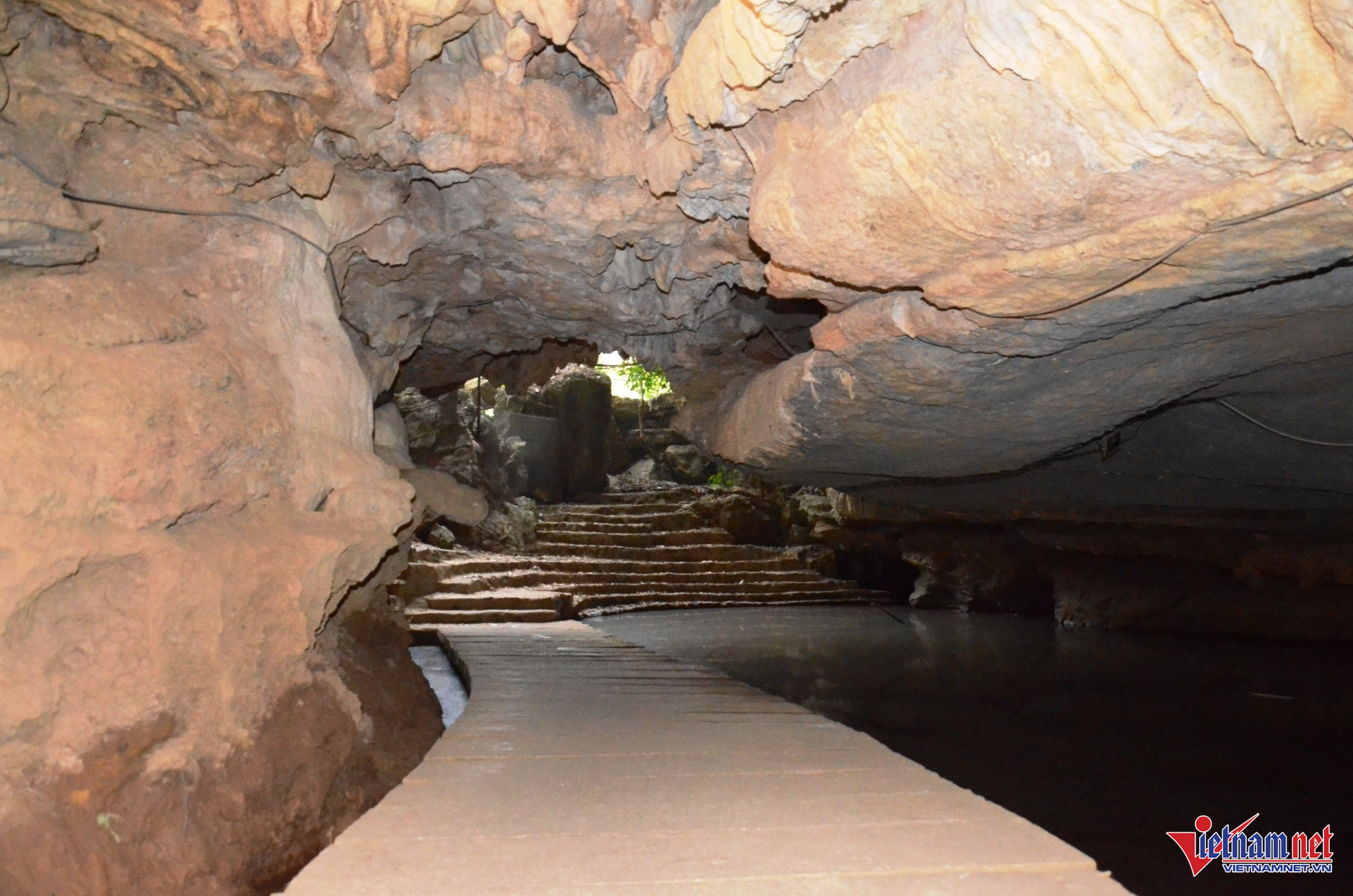 W-Tiên Cá 7.JPG.jpg