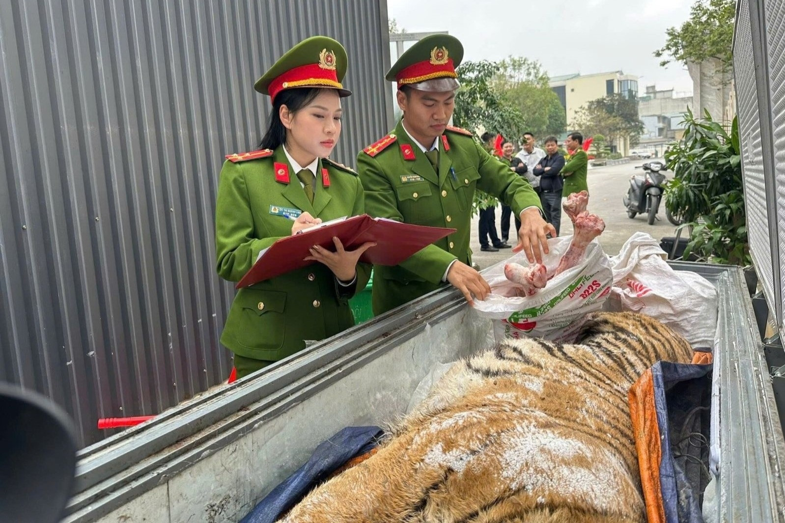 Bắt giữ đối tượng xây hầm kín, mua hổ về nấu cao tại Thanh Hóa