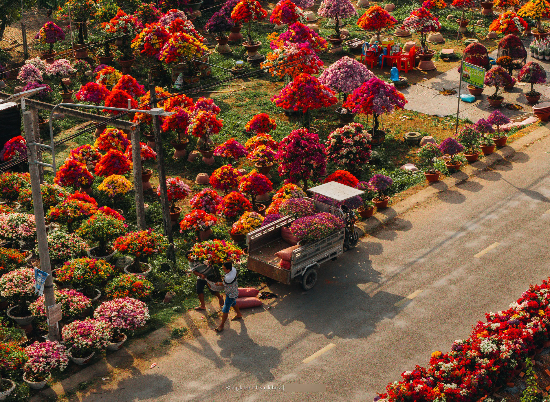 làng hoa giấy vĩnh long 3.jpg