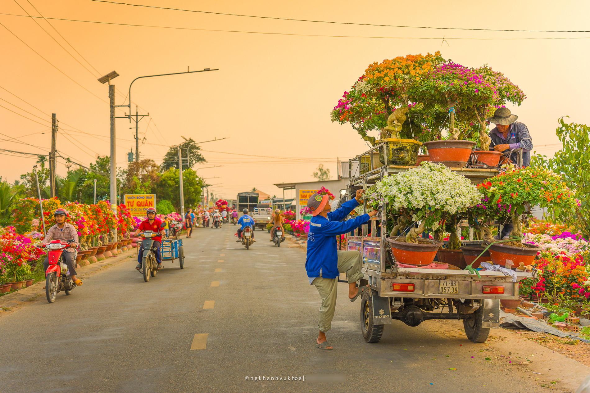 làng hoa giấy vĩnh long 5.jpg