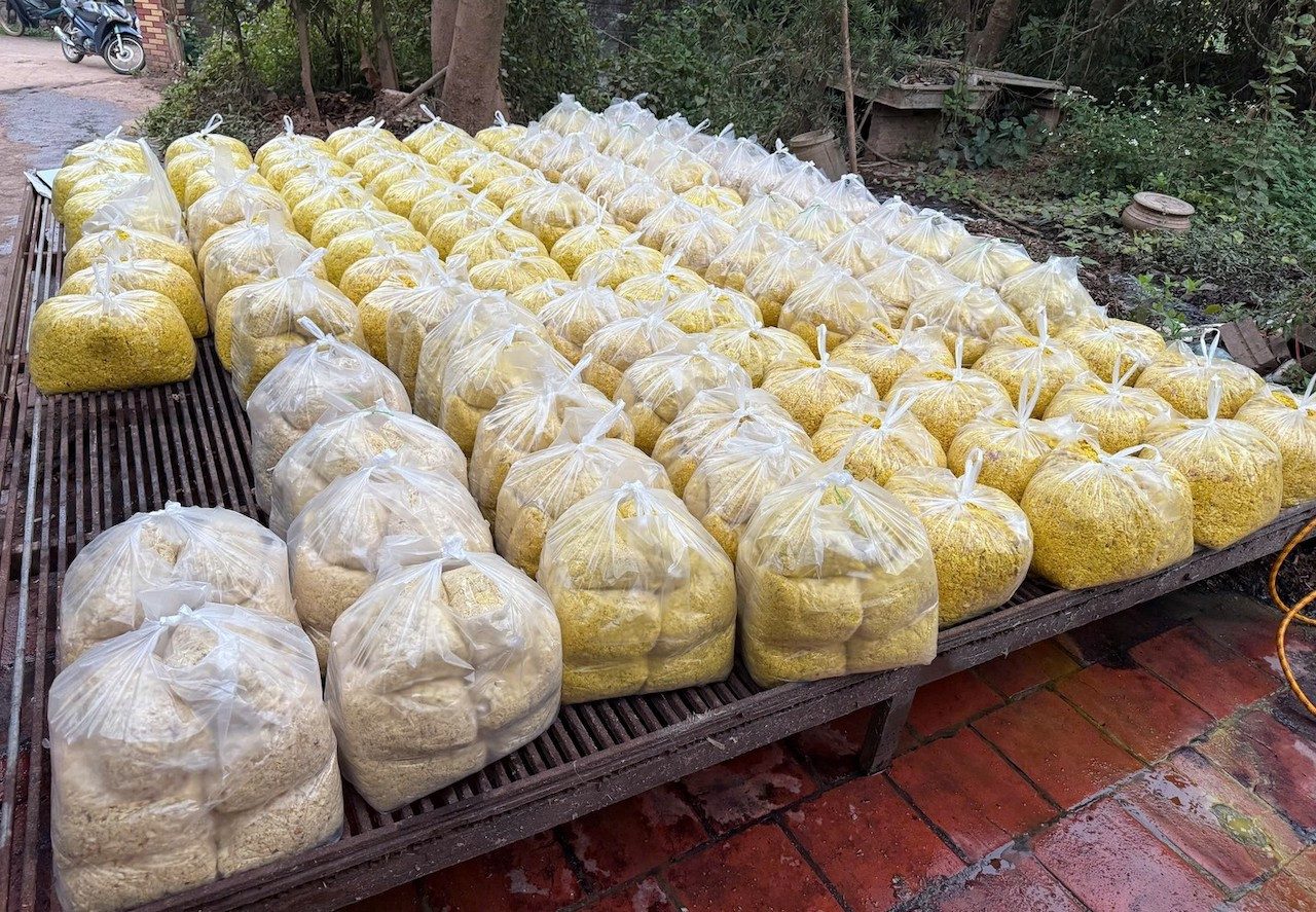 photo library 20260211161640 b9217211 562b 4081 99c3 287a64d781dd rieng xay thanh pham uoc tron chat tay uong va chat vang o bi thu giu.jpg