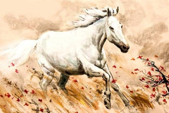 Tử vi tuổi Ngọ năm 2026 chi tiết từng năm sinh