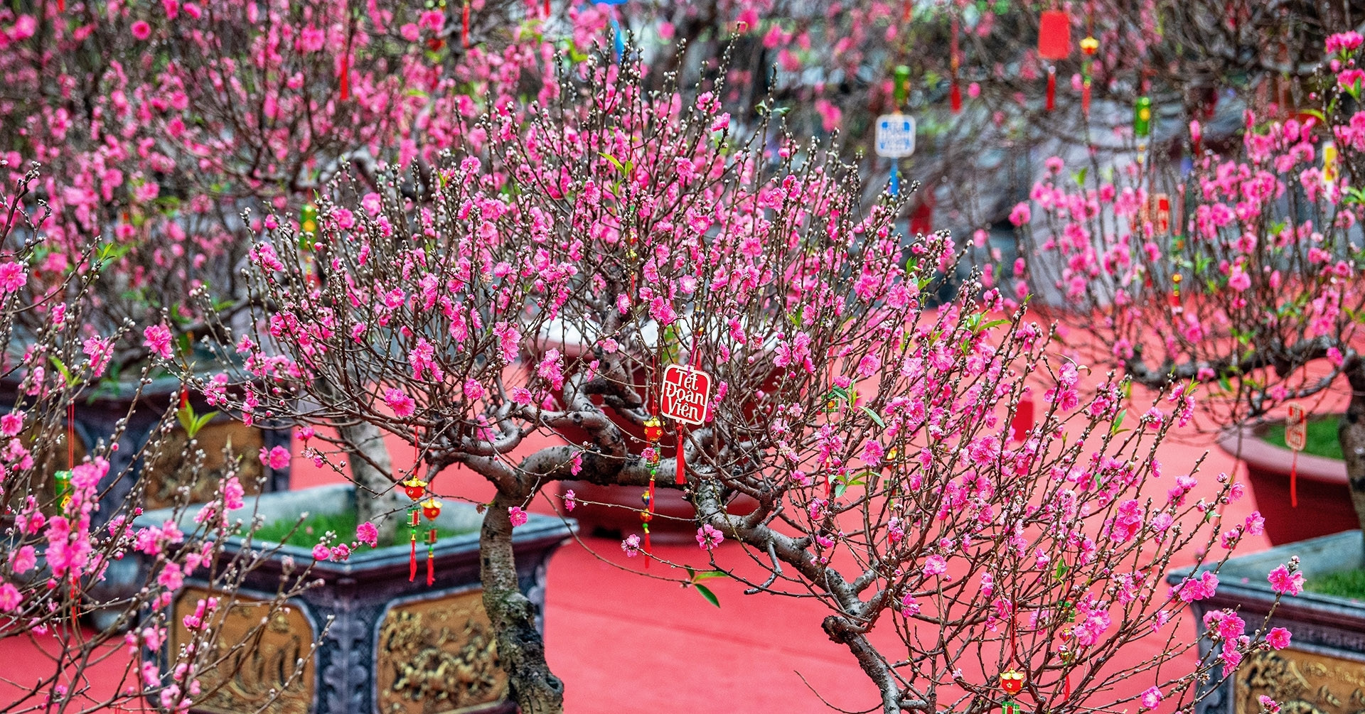 Văn khấn giao thừa tết Bính Ngọ trong nhà, ngoà...