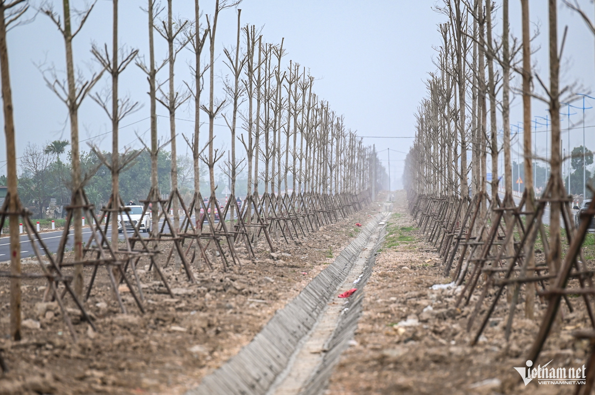 W-Đường trục phía Nam_tết (11).JPG.jpg