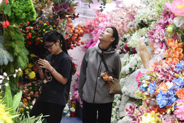 W-hoa Tet lanh HN HHa.jpg