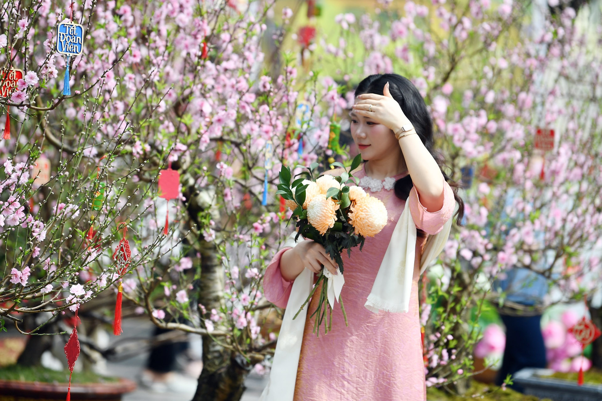 Dự báo thời tiết 15/2/2026: Miền Bắc nắng ấm đến 28 độ, sắp đón không khí lạnh