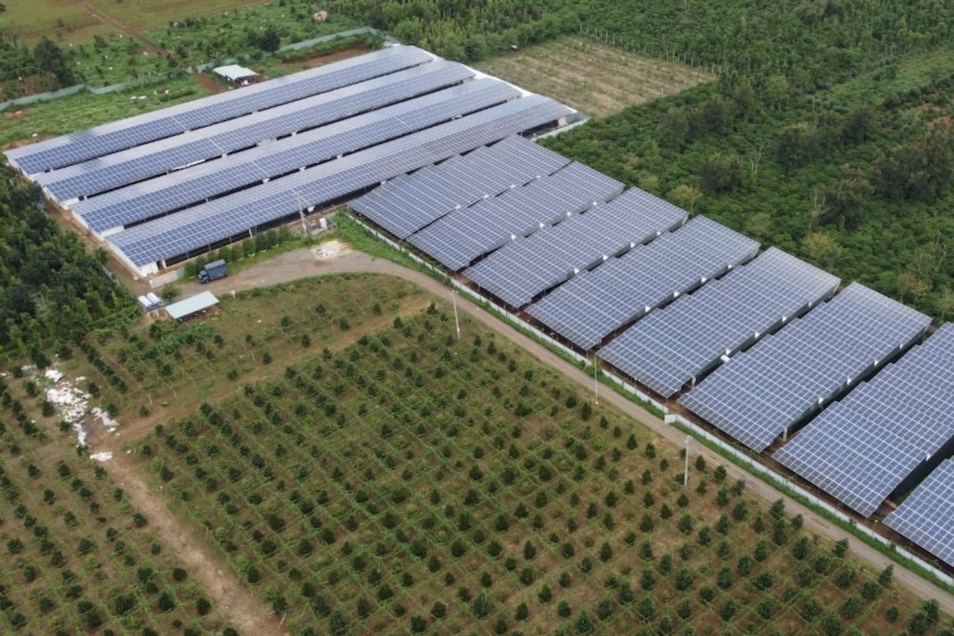 Anh nông dân Đắk Lắk kể chuyện thu tiền tỷ từ điện mặt trời mái nhà