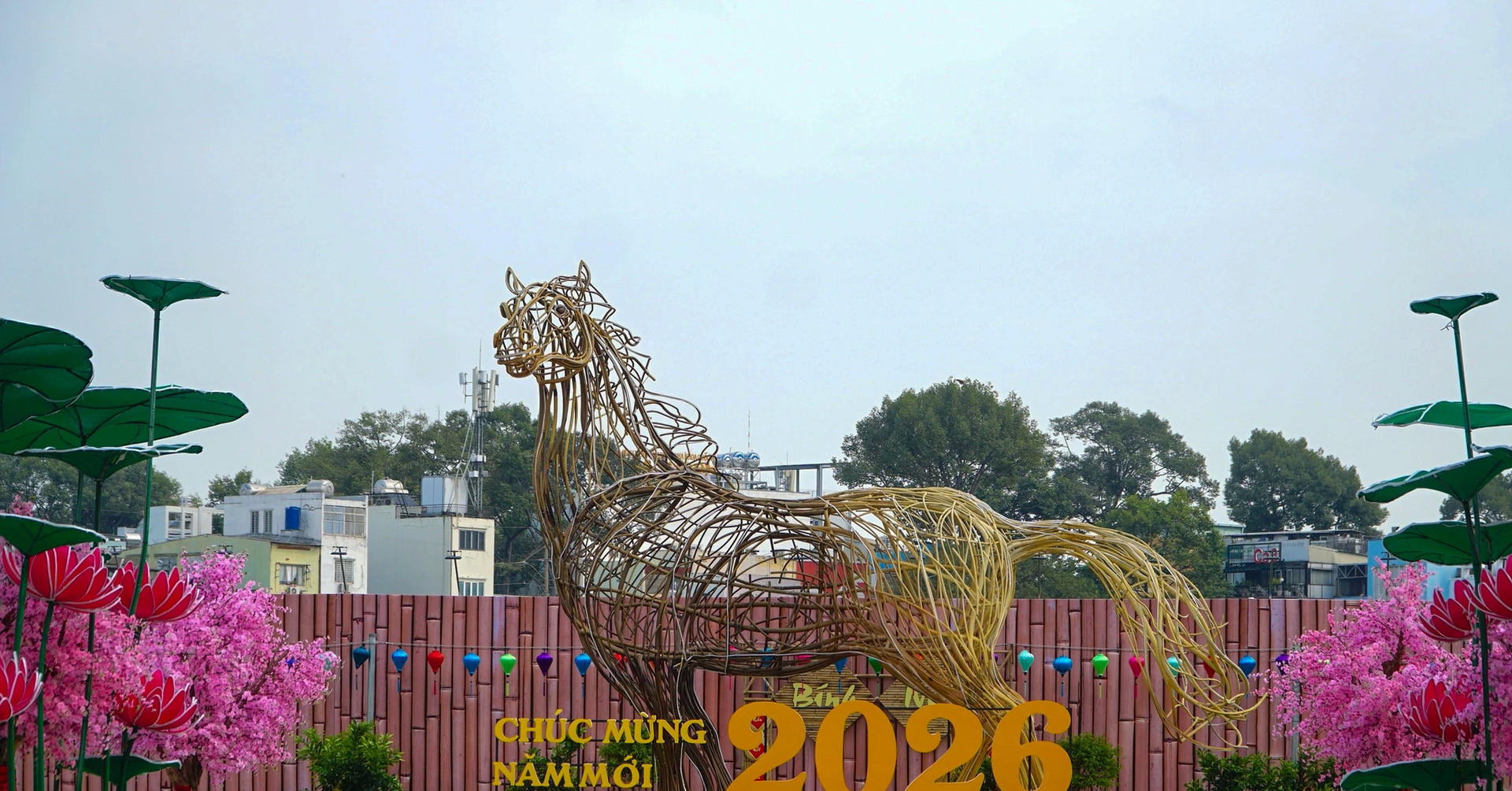 Công viên hoa xuân 152 Trần Phú - điểm check-in mới cho người dân TPHCM